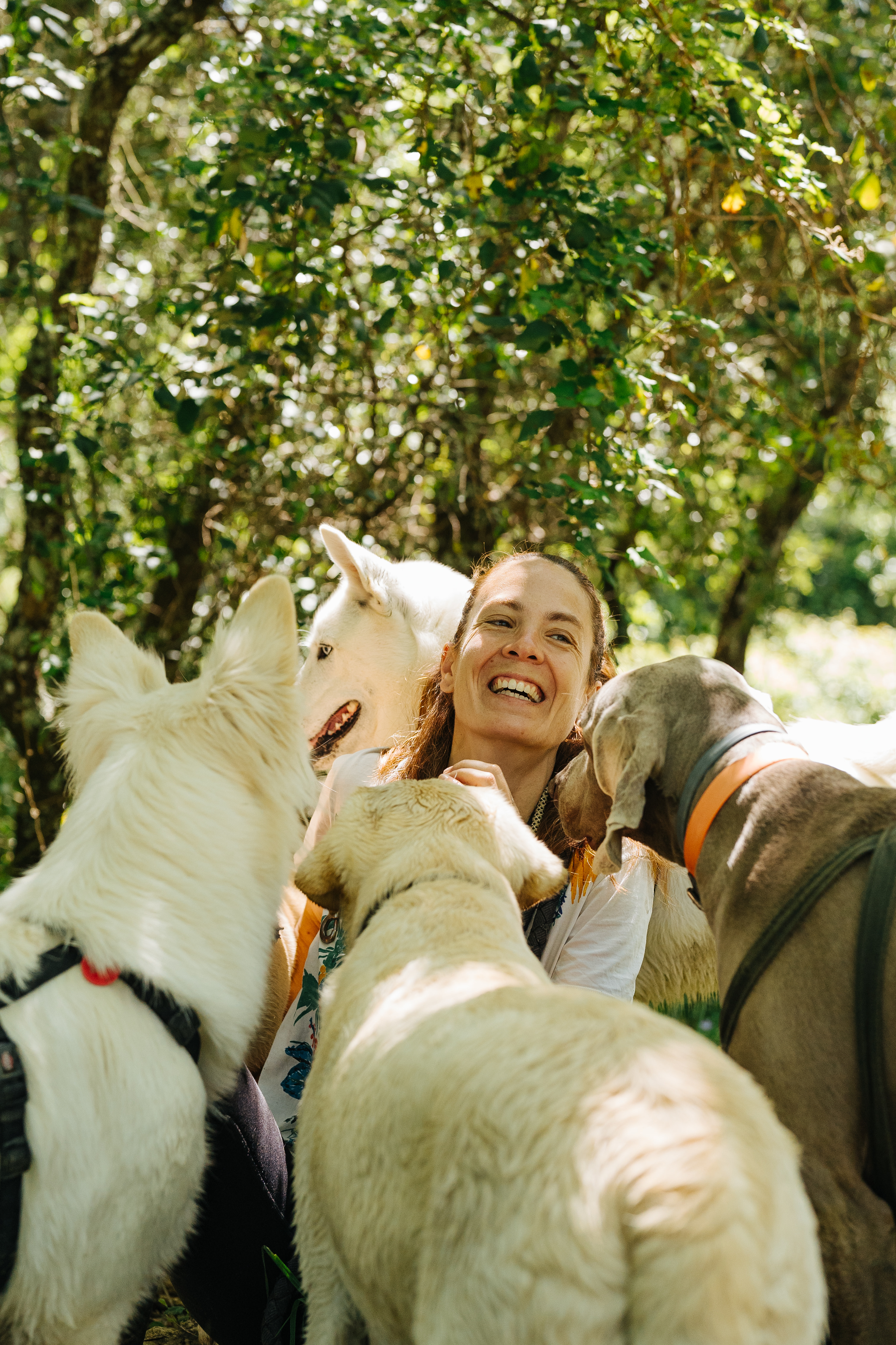 Isabel Maia - groomer