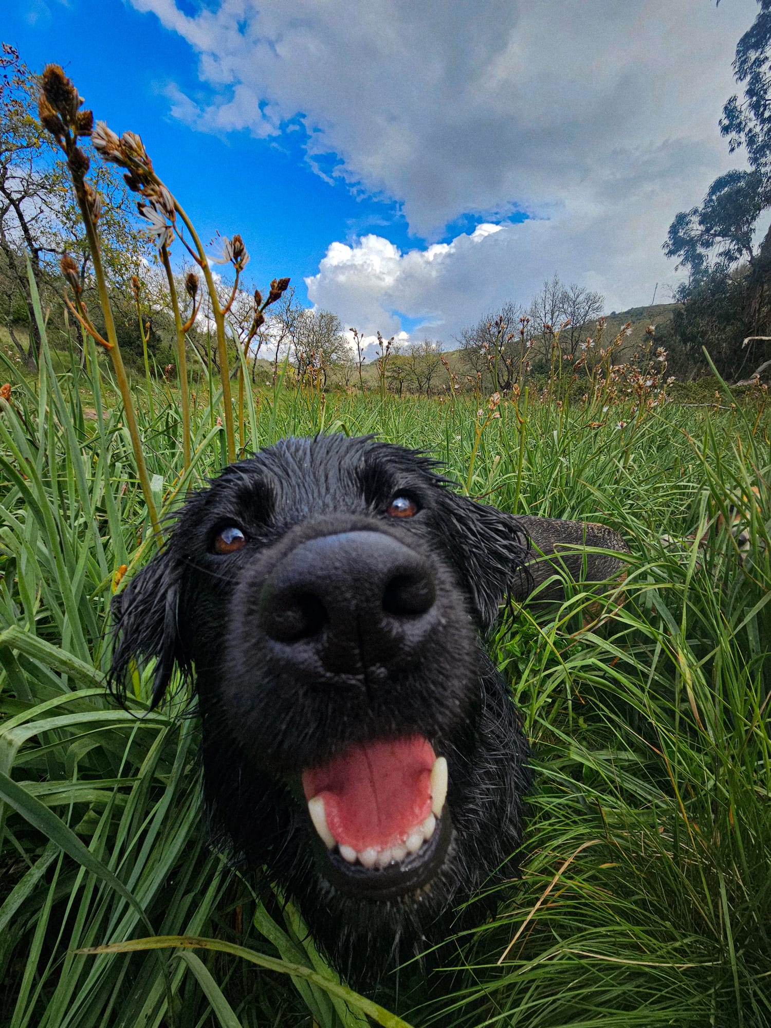 Passeios Individuais