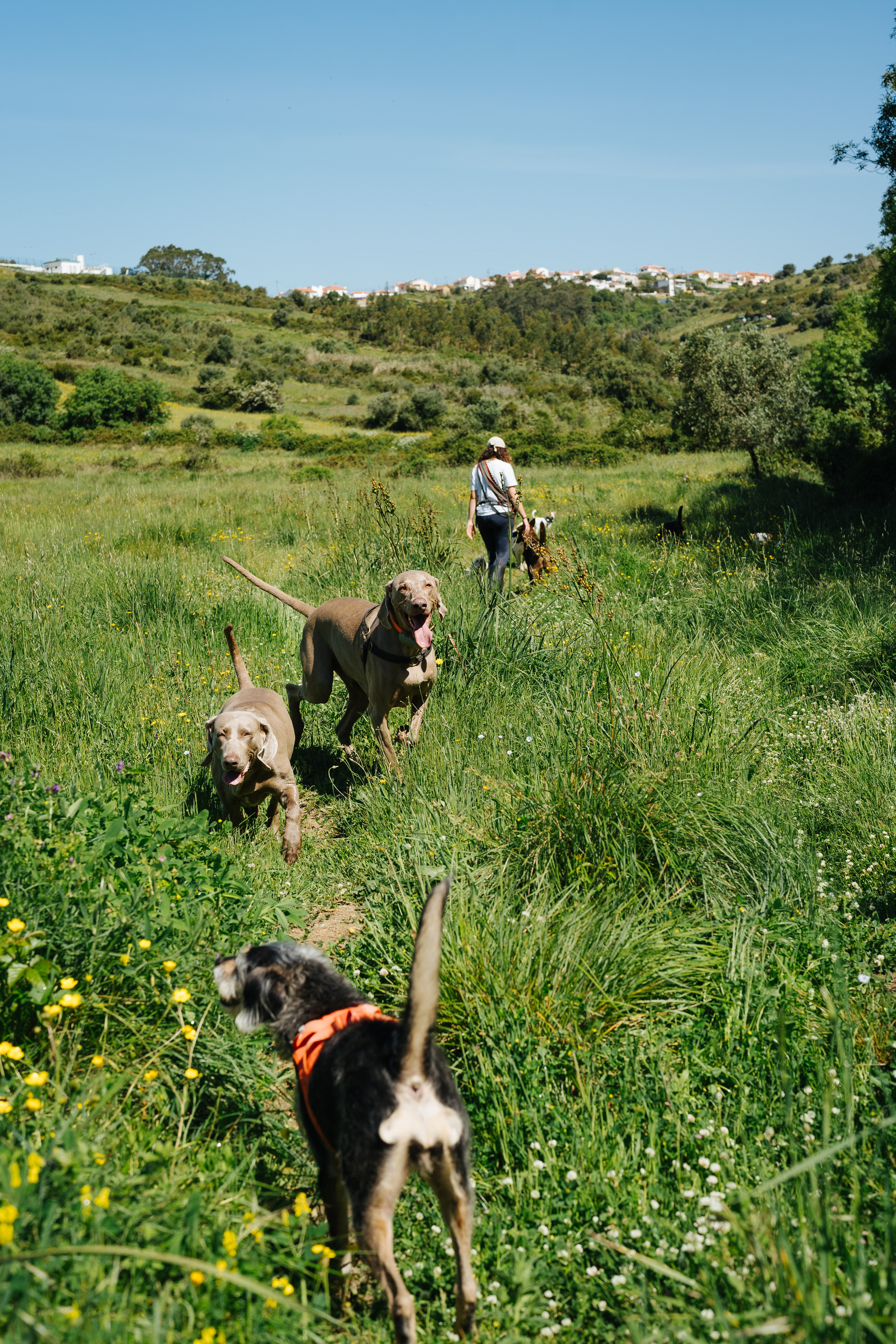 Passeios na Natureza